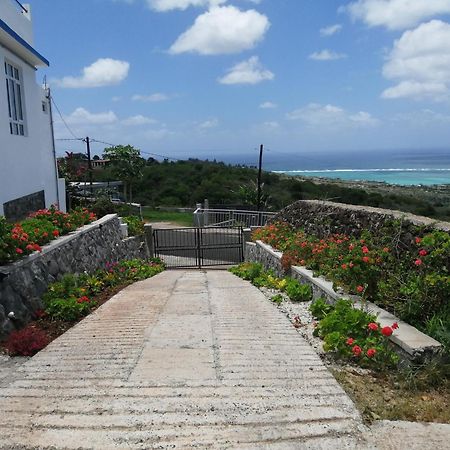 O Bercail Du Sud-Hibiscus Chez Jeannette Vila Saint Gabriel Exterior foto